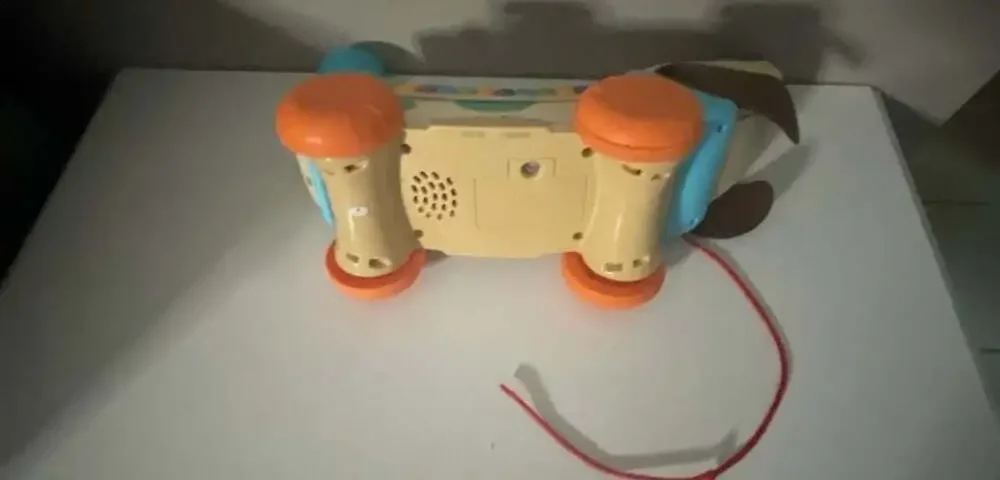 LeapFrog Wooden AlphaPup Pull-Along Alphabet Dog